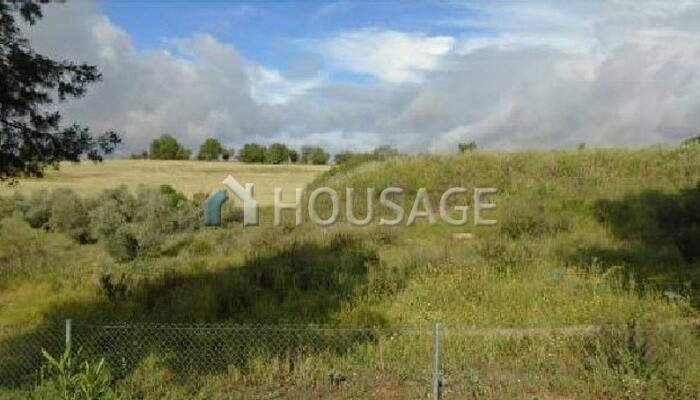 Urban Land Residential for sale located on cinco s-27 street. Bargas for 1.900€ with 180m2