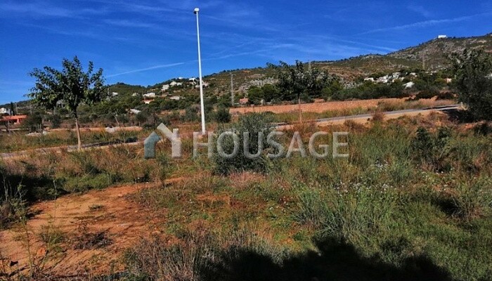 1.945m2 residential Land for Development for sale for 96.000€ located in polígono 48. parcela 479 street (Alcalà de Xivert)