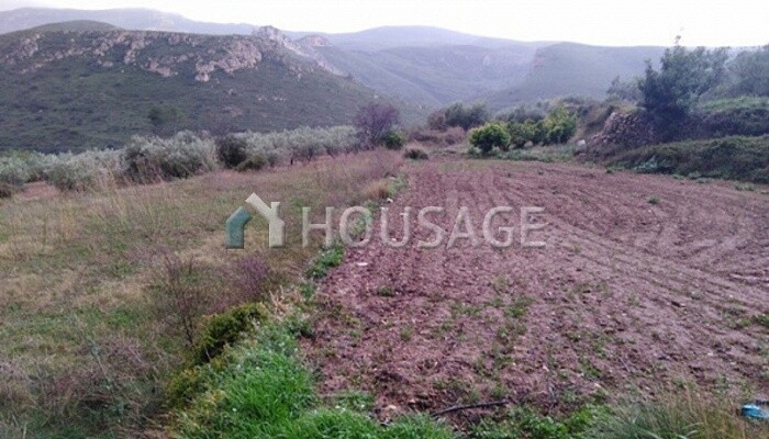 2.500m2-urban Land Residential for sale in llanorel street. Macastre for 5.000€