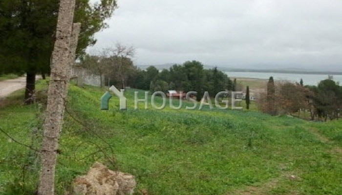 993m2-residential Land for Development for sale for 20.000€ in sitio del prado de abajo o garranchal street (Bornos)