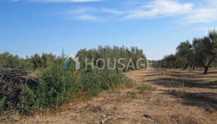 Residential Land for Development for sale for 40.000€ with 13.900m2 located in mas de cabanes street. Sant Jordi/San Jorge