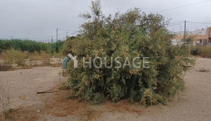 360m2-residential Land for Development for 5.000€ on pujaire street. Almería